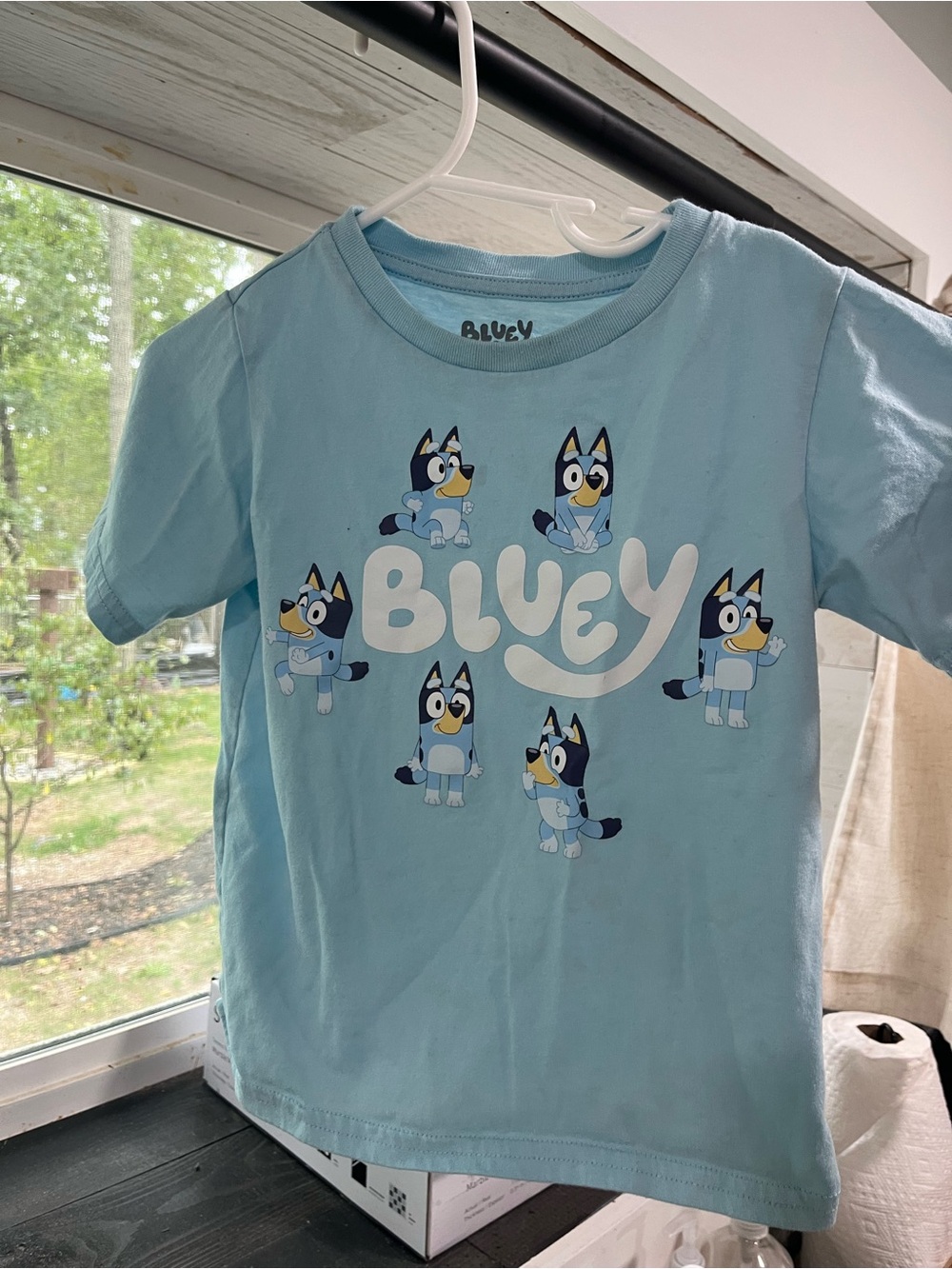 Bluey matching set